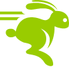 icon rabbit